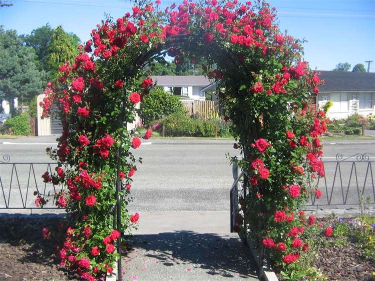 46 Wilson Street Geraldine_22