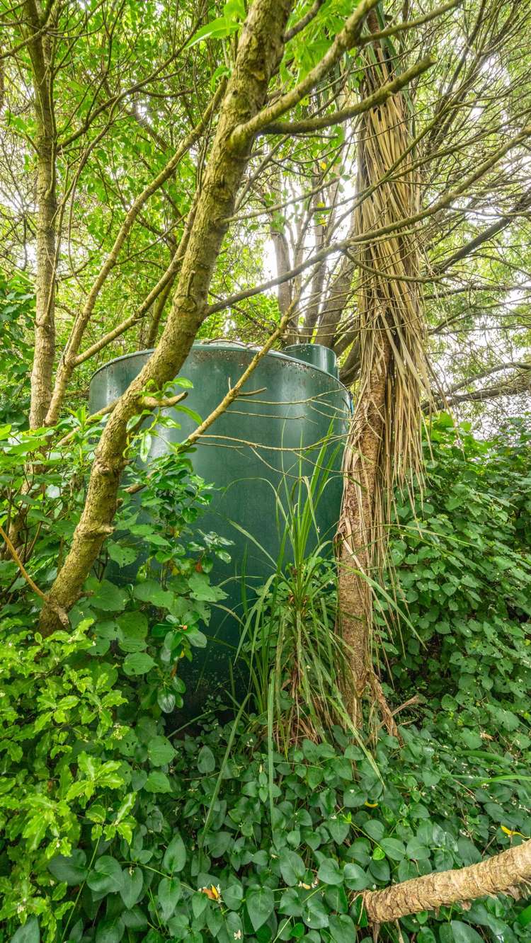 1194 Okains Bay Road Okains Bay_1