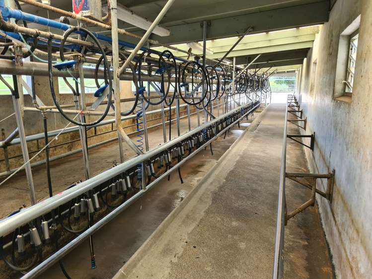 1528 Wiremu Road Rahotu_3