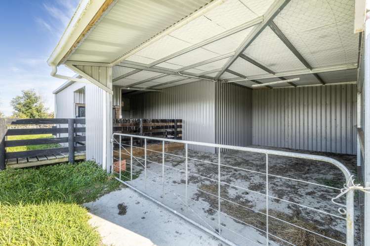 255 Calico Line Marton_30