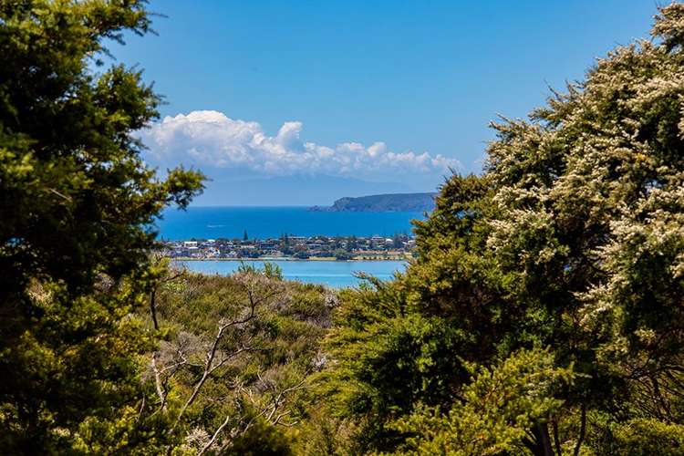 70 Upper Whangateau Road Big Omaha_5