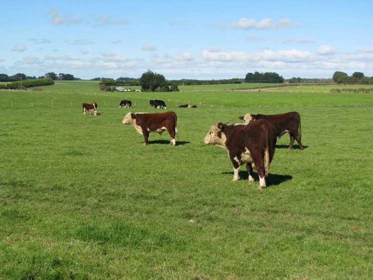 525 Woodlands Morton Mains Road Wyndham Surrounds_8