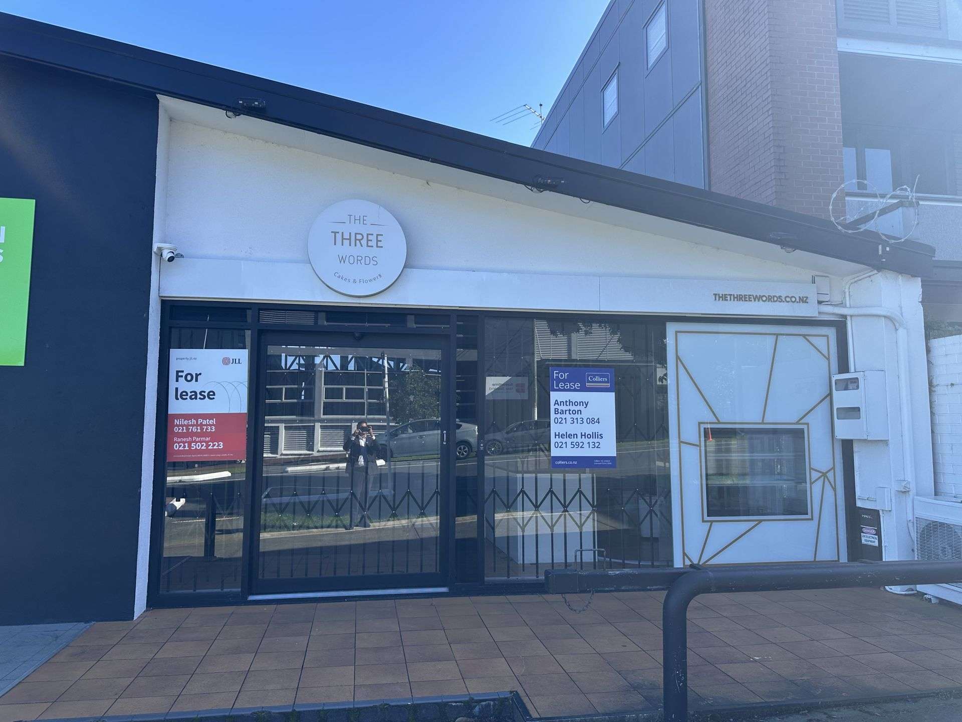 23 Williamson Avenue Grey Lynn_0