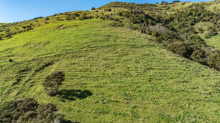 1234 Okains Bay Road Okains Bay_20