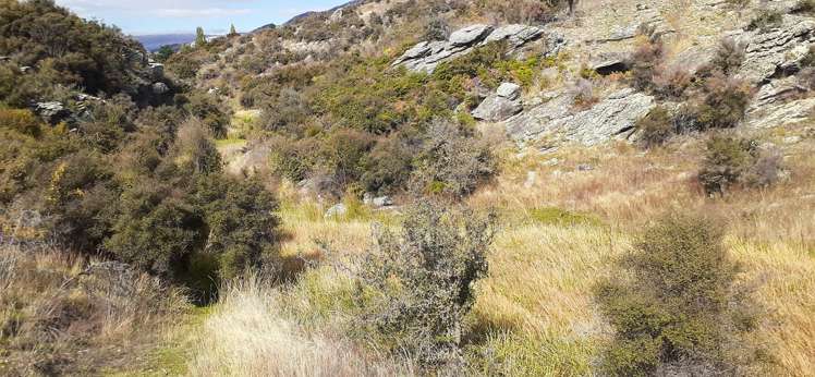 41 Totara Place Queensberry_22