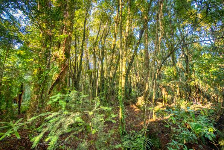 Haydens Road Marsden_16