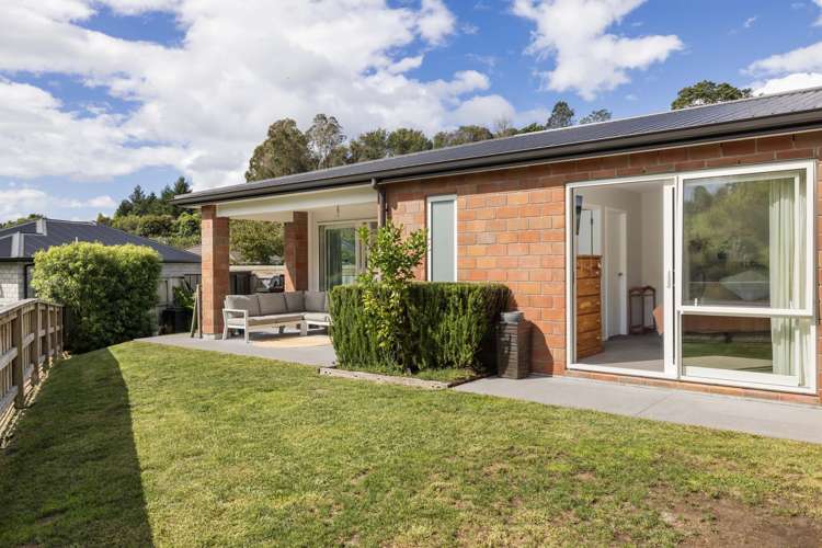 20 Pakanga Grove Pyes Pa_21