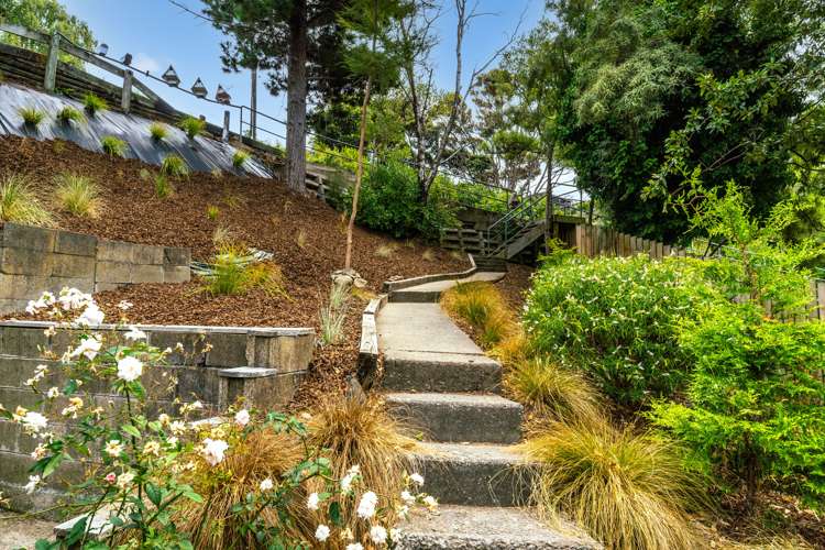 39 Jenner Road Toi Toi_4