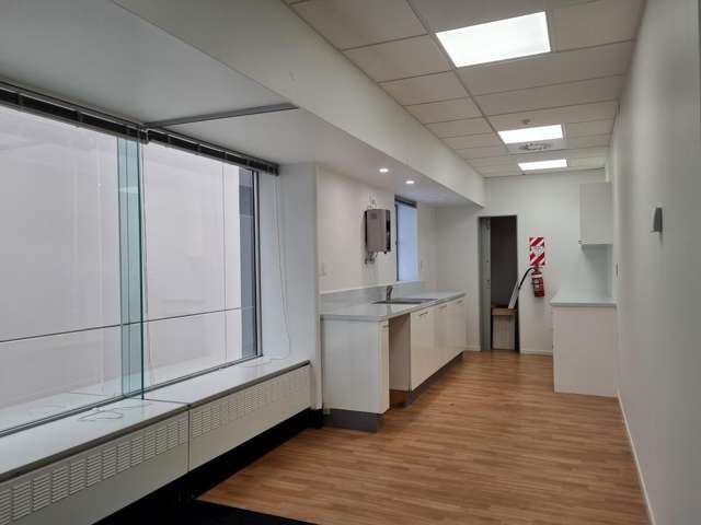 119 Featherston Street Wellington Central_4