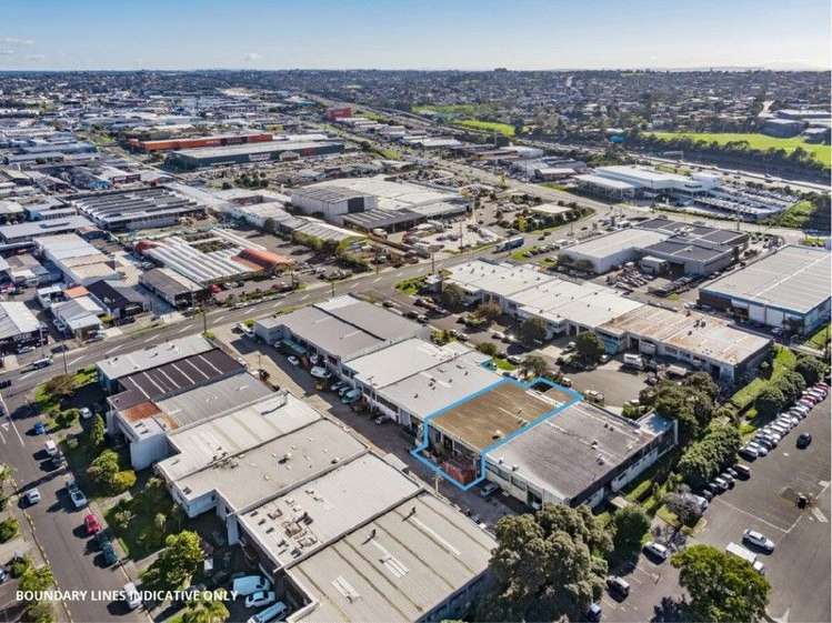 7 Goldfield Wairau Valley_8