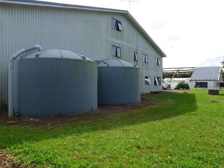 135 Waipapa West Road Kerikeri Surrounds_13