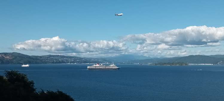 2/148 Evans Bay Parade Roseneath_24