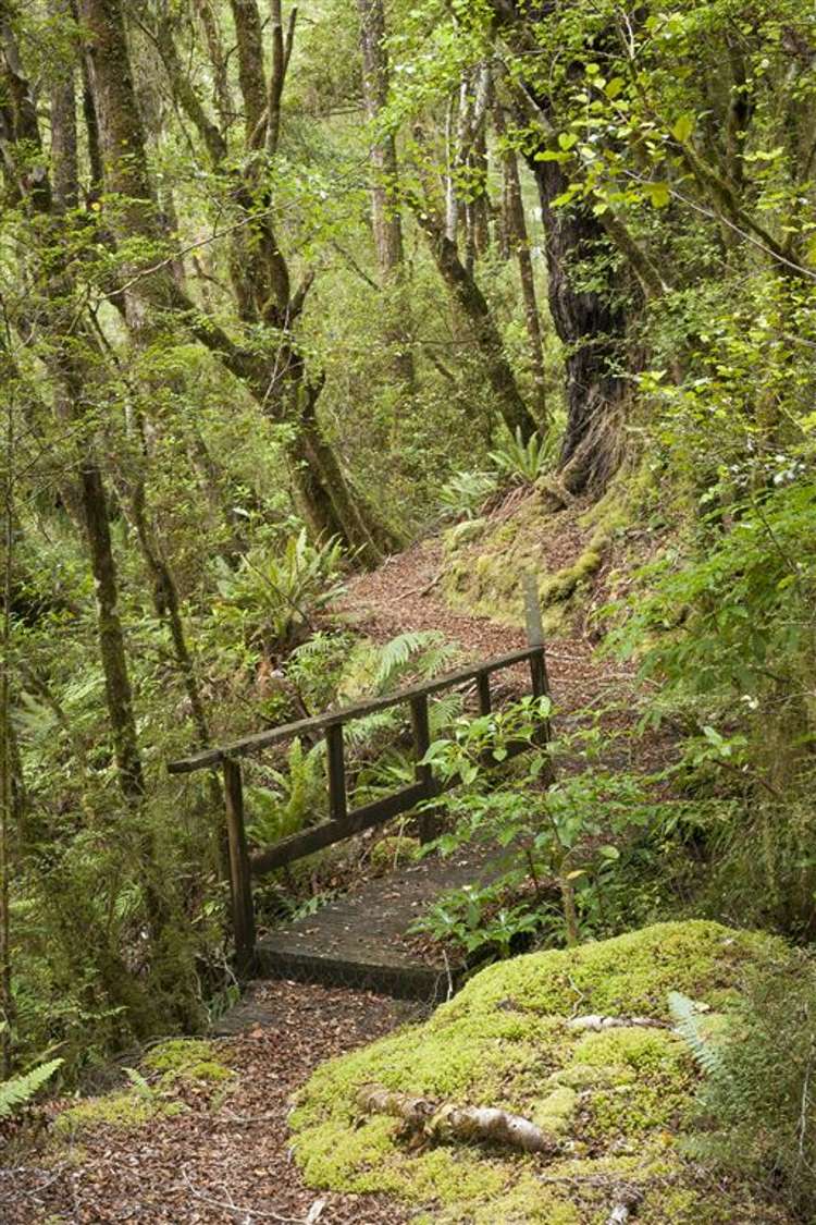 2314 Shenandoah Highway Murchison_6