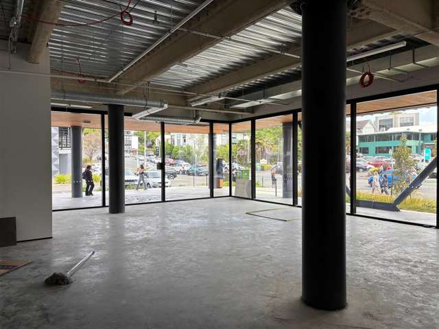 Part Ground Floor, 179 Collingwood Street Hamilton Lake_2