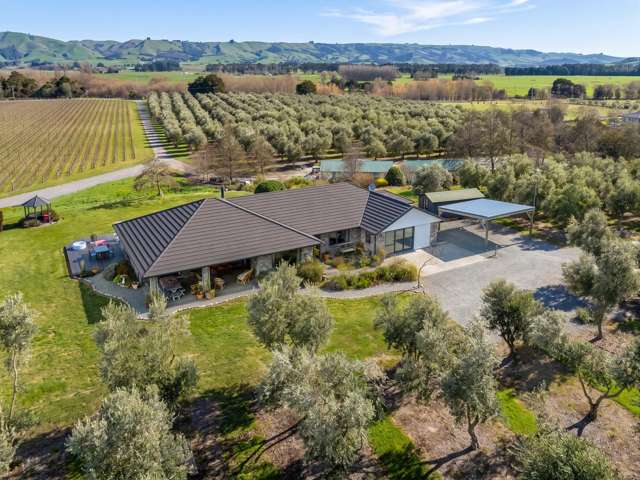 244 Dakins Road East Taratahi_1