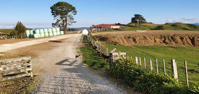 291 Mahoe Road Waitomo_3