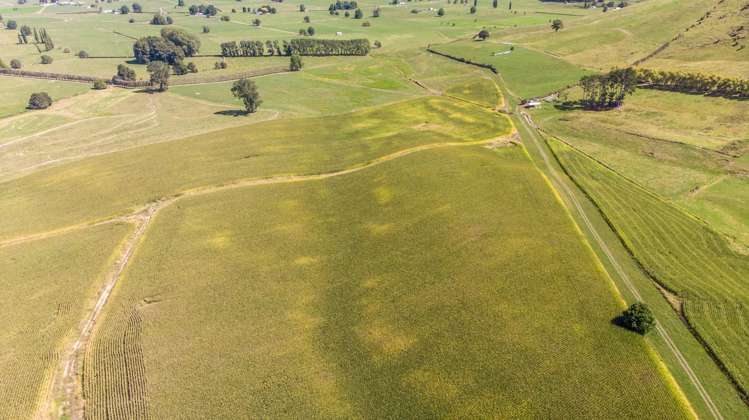 271 Cruickshank Road Tokanui_9