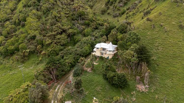 280 Nikau Road, State Highway 67 Nikau_25