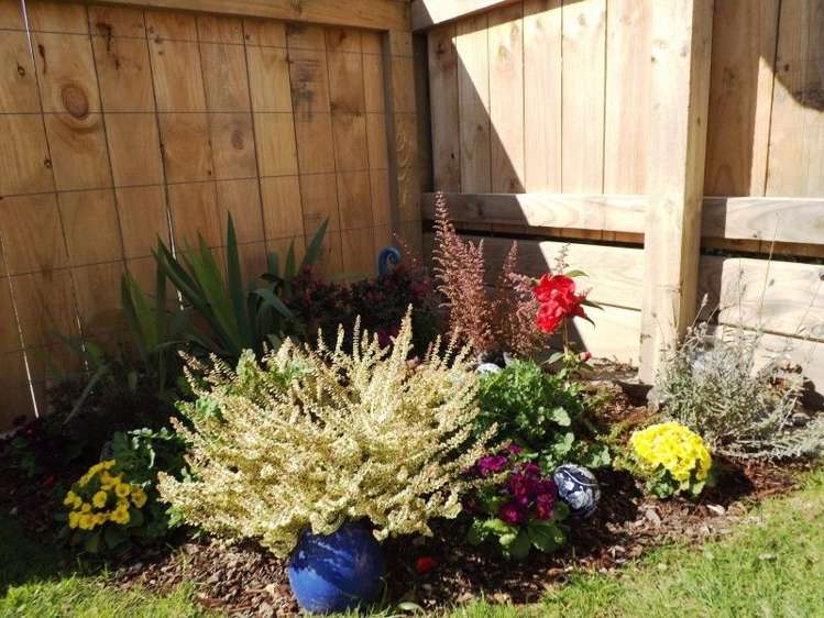 49/91 Mako Mako Road Levin_14