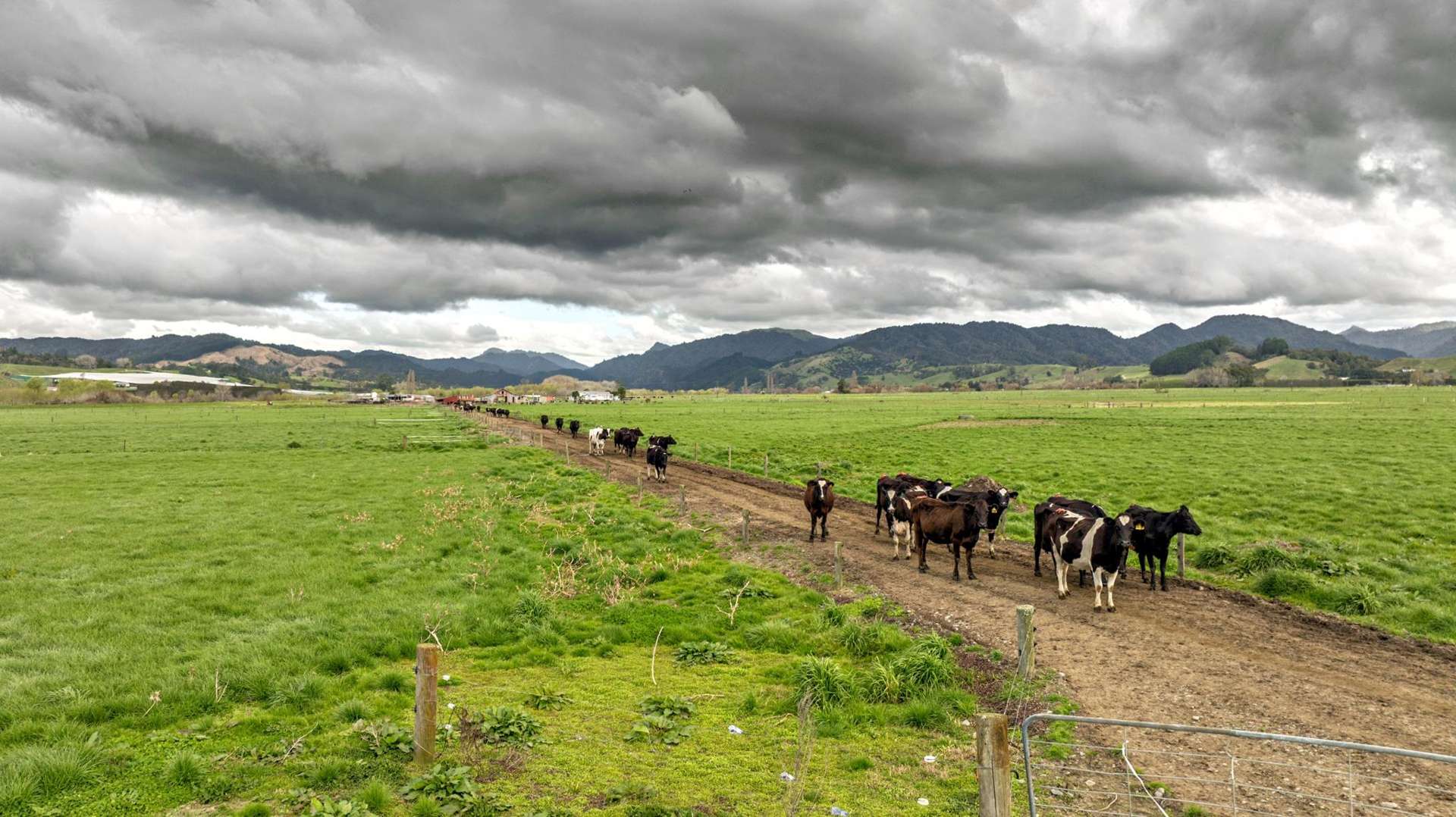 Brooklyn Farm, 126 McGinley Road Opotiki_0