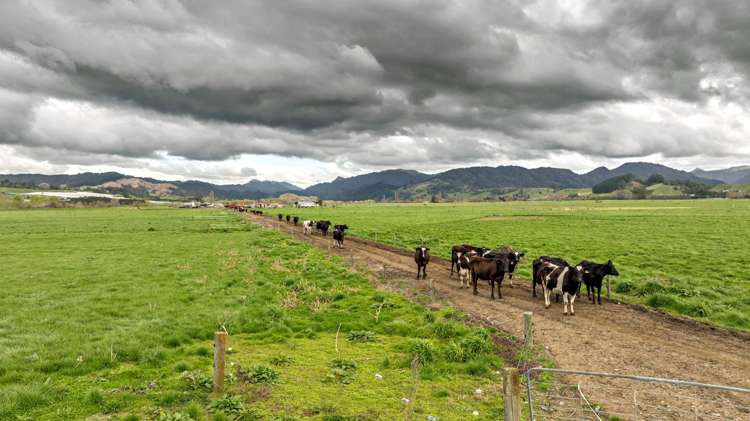 Brooklyn Farm, 126 McGinley Road_0