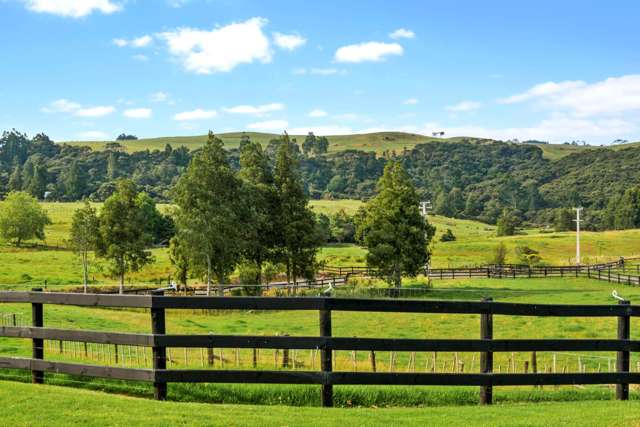 93 Alf Access Road Helensville_2