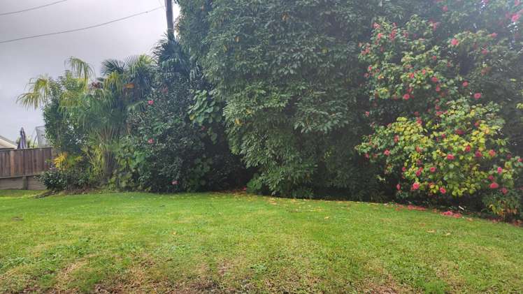 5 Jellicoe Street Te Puke_15