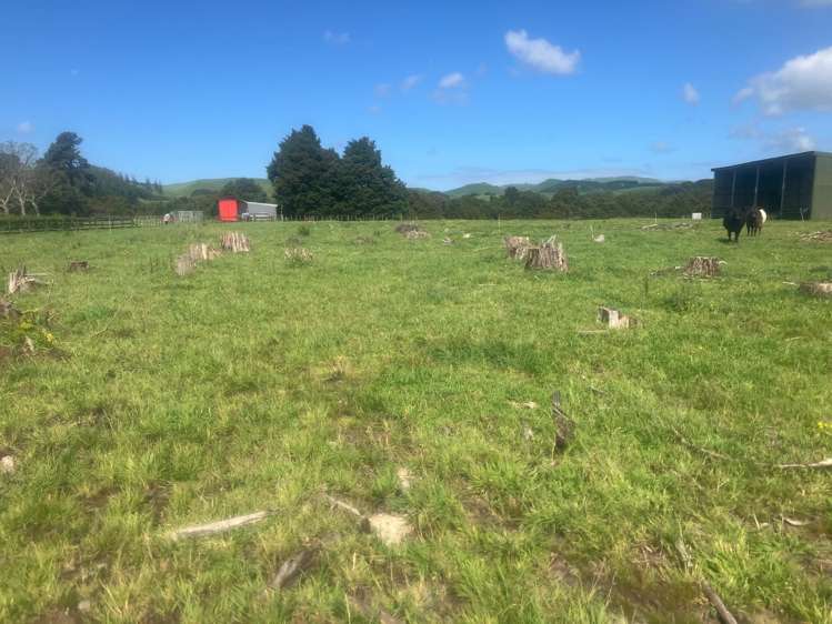 507 Otope Road Dannevirke_22