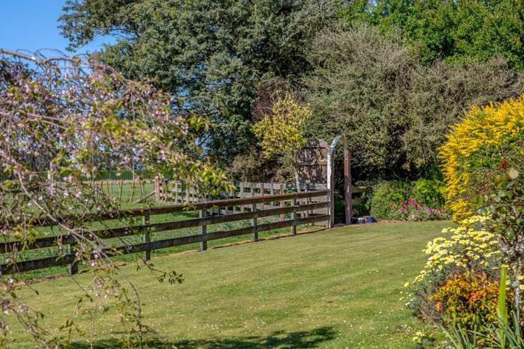 3865 State Highway 2 Carterton_9