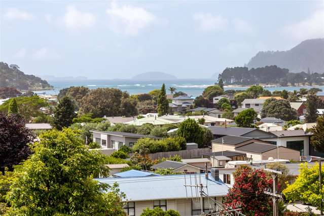 333 Main Road Tairua_2