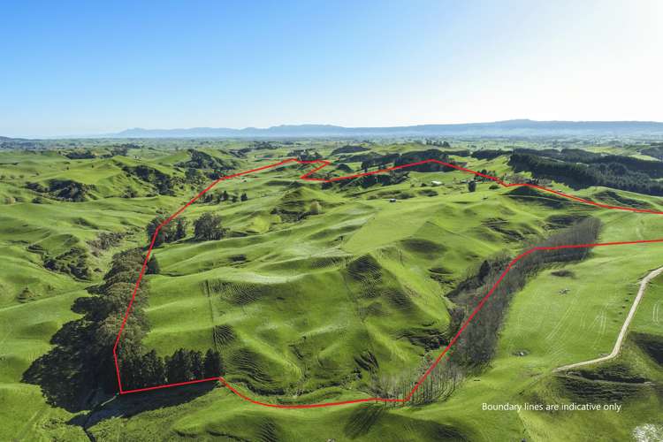 189 Pahihi Road Hauraki Surrounds_16