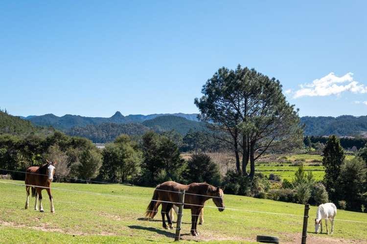 896A Hikuai Settlement Road Pauanui Hikuai_26