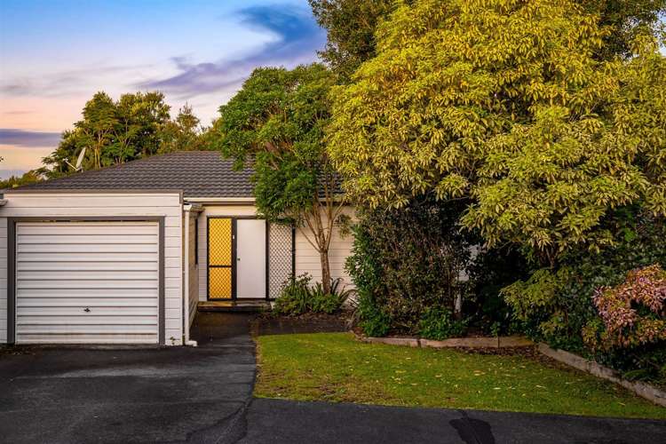 2/54 Granville Drive Massey_8