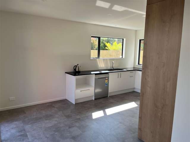 116A Southampton Street Sydenham_4