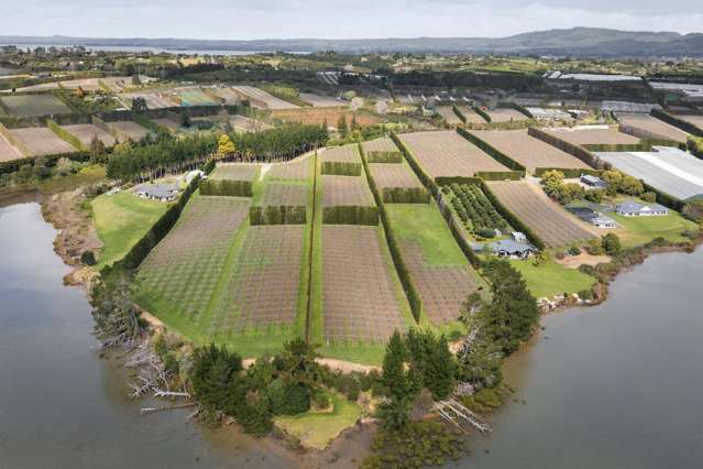 195A Tuapiro Road Katikati_2