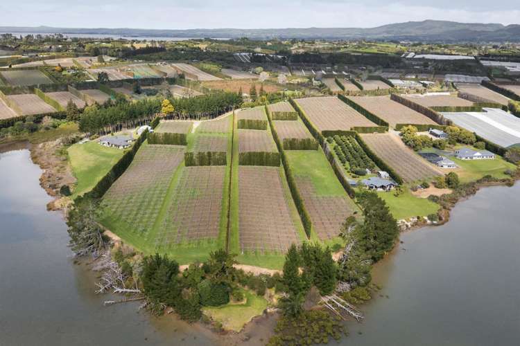 195A Tuapiro Road Katikati_1