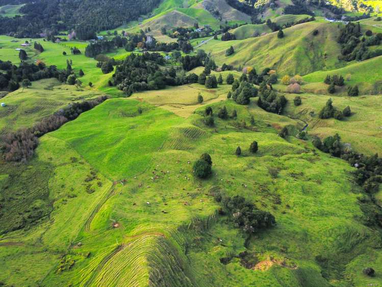 92 Takahue Saddle Road Takahue_44