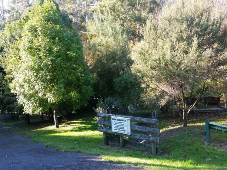 14 Diana Avenue Mangapapa_10