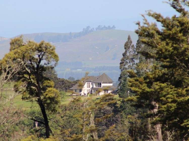 250 Glentui Bush Road Glentui_20