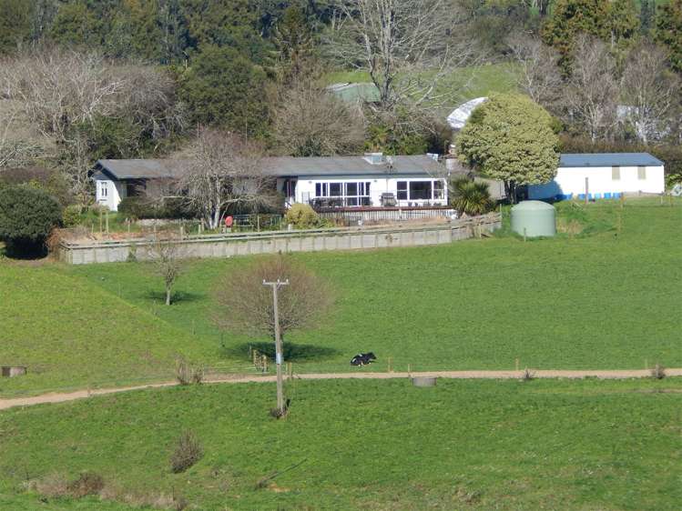 969 Piakonui Road Richmond Downs_18