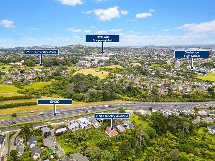 37A Hendry Avenue Hillsborough_27