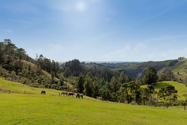 100 Kaitemako Road South Ohauiti_15