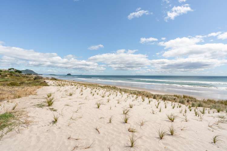 165 Oceanbeach Road Mt Maunganui_8