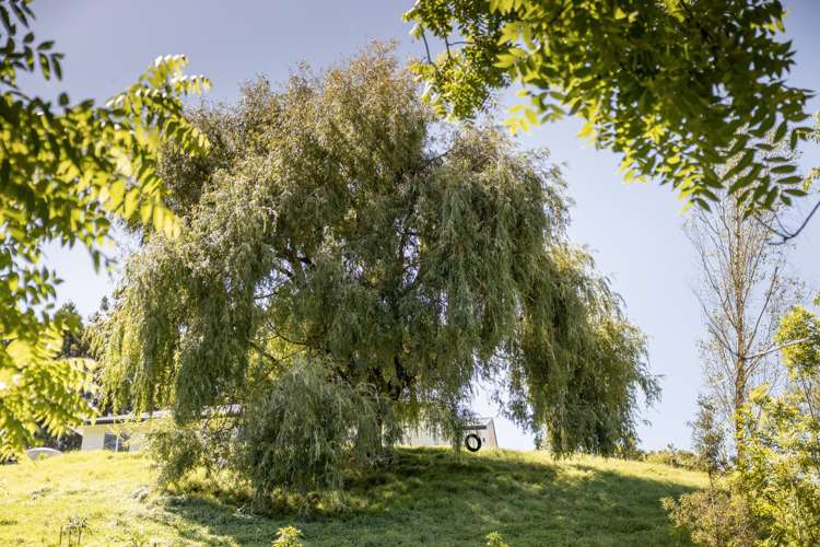 86a Te Puna Quarry Road Wairoa_23