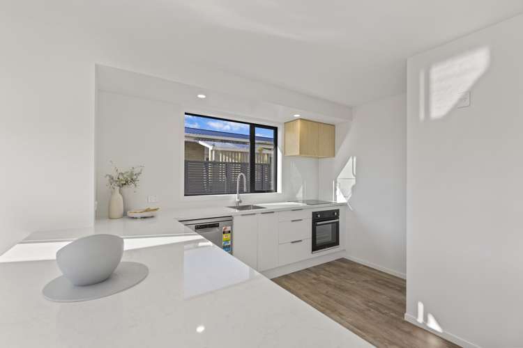 1b Kings Avenue South Dunedin_8