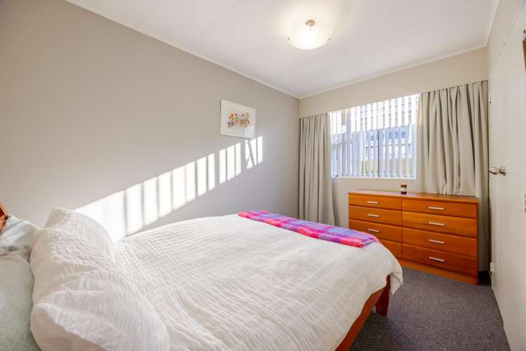 104 Freyberg Avenue Tamatea_17