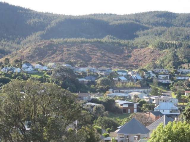 324 Onemana Drive Onemana_4