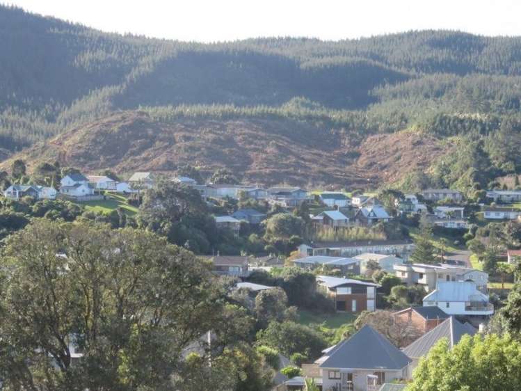 324 Onemana Drive Onemana_4