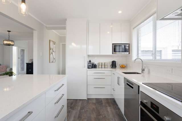 14 Howell Avenue Riverlea_4