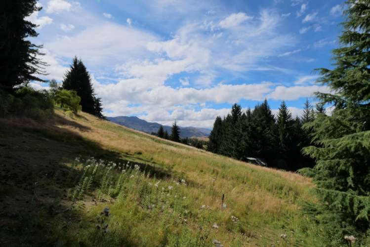 196 Dalefield Road Dalefield_16